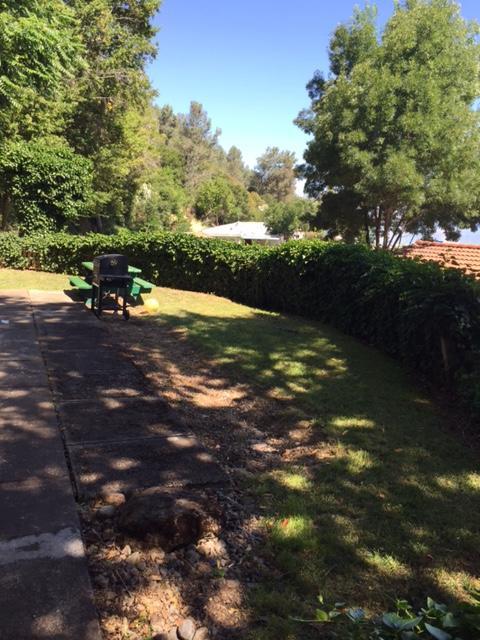 Clear Lake Vista Resort Kelseyville Εξωτερικό φωτογραφία
